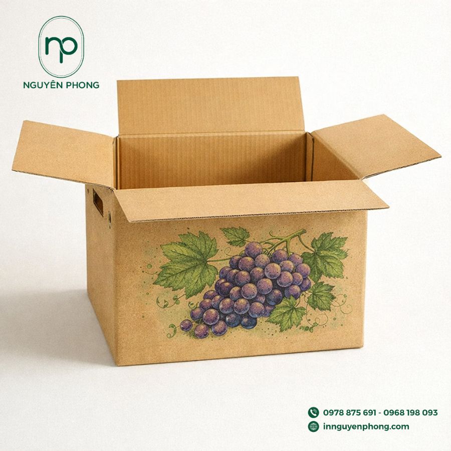 In thùng carton đựng các loại quả